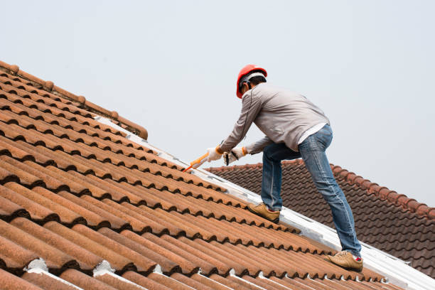 Best Metal Roofing Installation  in Lake Waccamaw, NC